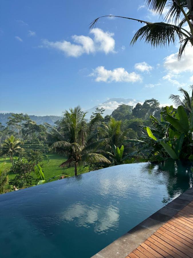Nana Suites Villa Sidemen  Extérieur photo