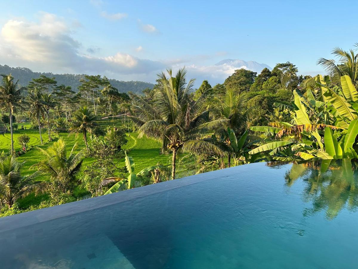 Nana Suites Villa Sidemen  Extérieur photo